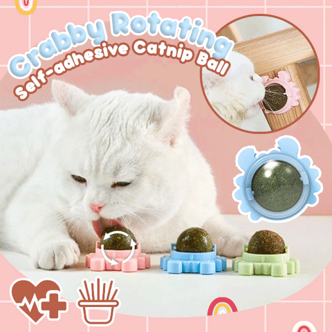 ZenKitty™ Plant-Based Catnip Ball | Health and Happiness for Your Cat! (1+1 Free)